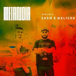 SanM & Walicho